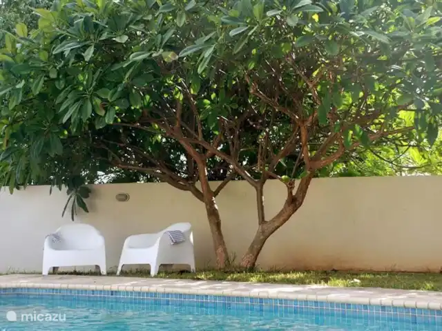 Villa tropicale | Curaçao, Curaçao-Centre, Julianadorp - villa Chaises de piscine