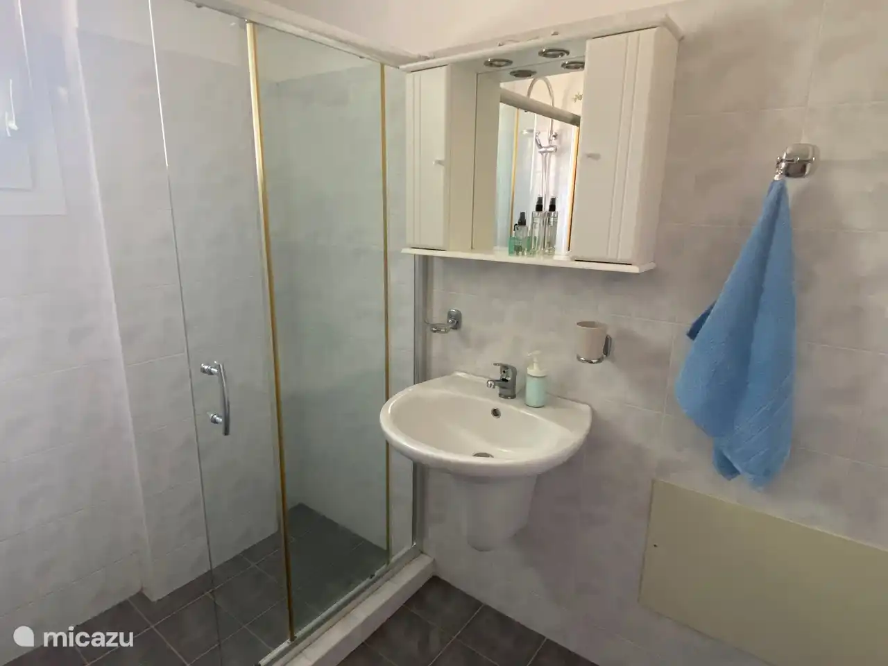 Das Badezimmer bestand aus einer geräumigen Dusche, WC, Waschbecken und Waschmaschine