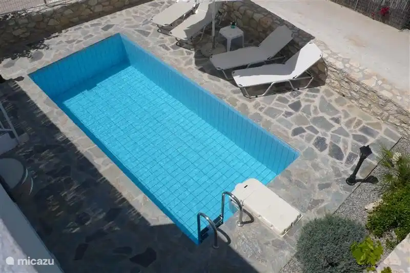 Schwimmen Sie im Pool