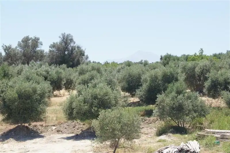 Blick auf die Berge Kretenser