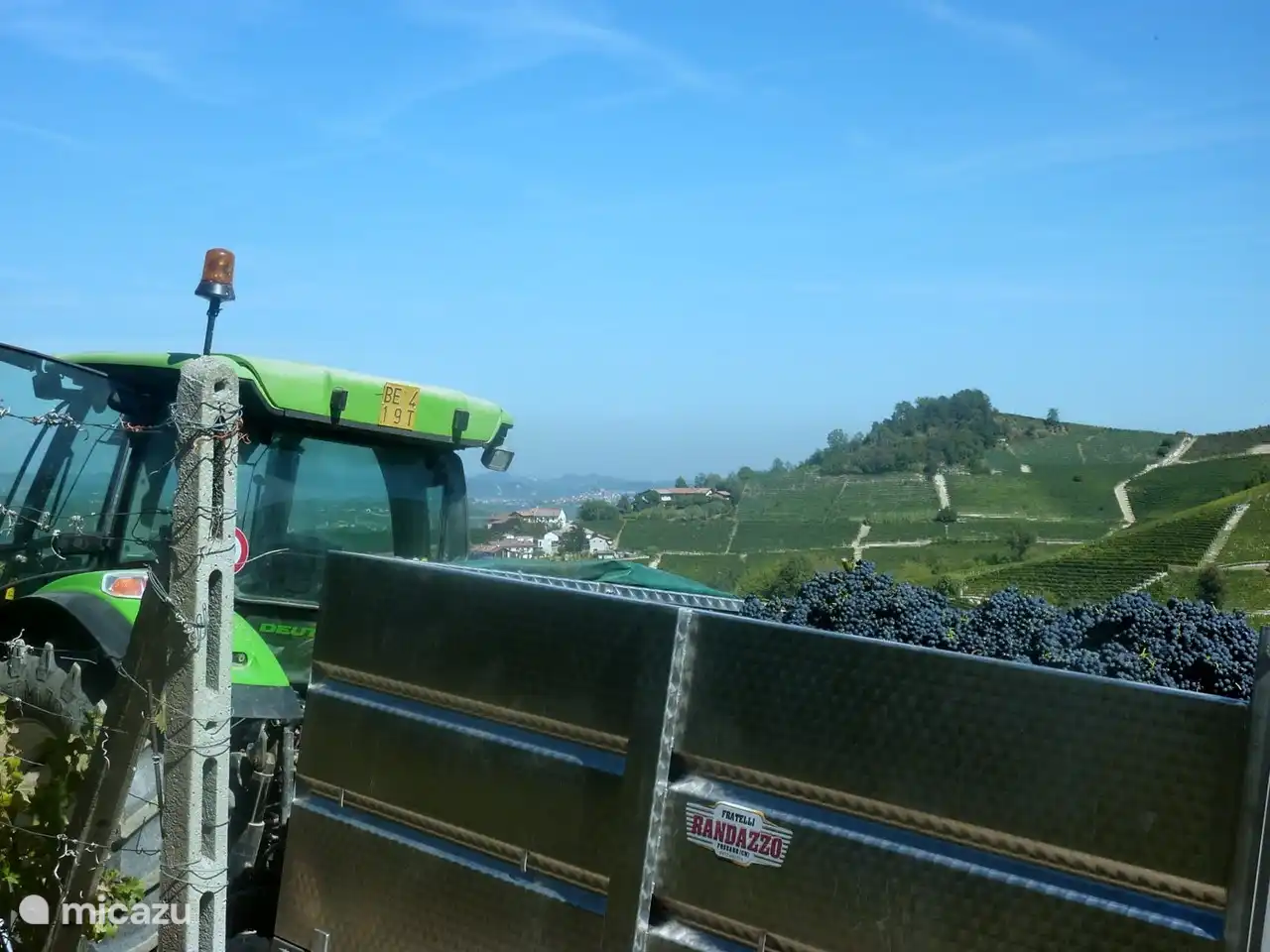 Recogida de vinos en septiembre.