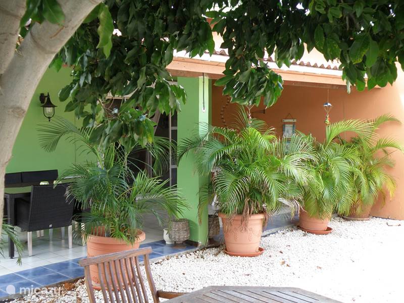 Ferienwohnung Aruba, Oranjestad, Oranjestad Ferienhaus La Casa Verde