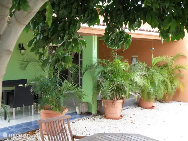 La Casa Verte | Aruba, Oranjestad, Oranjestad - maison de vacances Une partie de la cour arrière Le porche et le jardin sont éclairés la nuit.