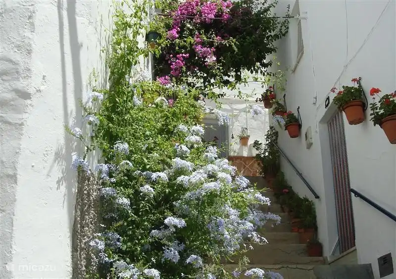 Une des rues étroites et escarpées de Cómpeta.