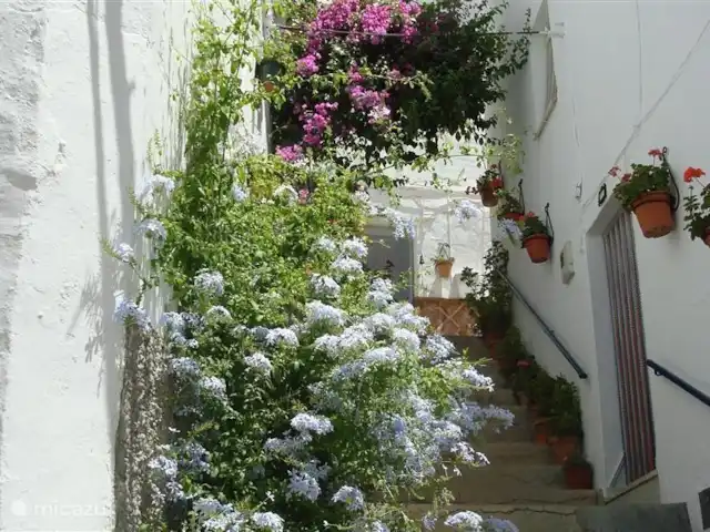 Panaderos huren in Spanje, Andalusië, Cómpeta - vakantiehuis Een van de smalle, steile straatjes in Cómpeta.