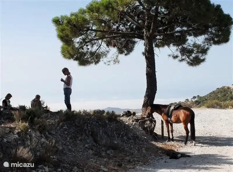 Équitation avec instruction dans le parc naturel.