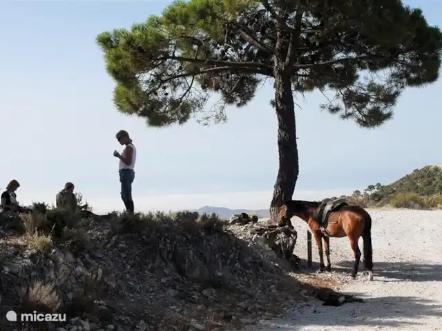 Panaderos huren in Spanje, Andalusië, Cómpeta - vakantiehuis Paardrijden met instructie in het natuurpark.
