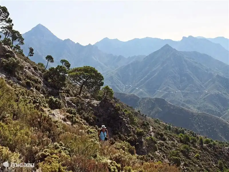 Randonnée dans les montagnes, dans la région de Cómpeta.