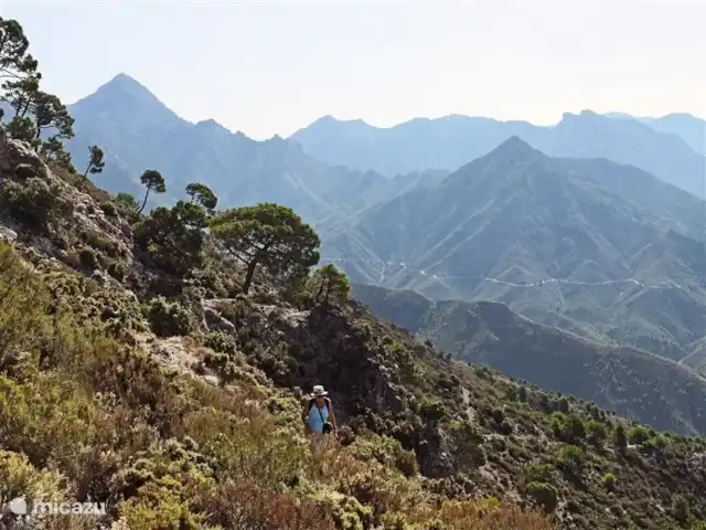 Panaderos huren in Spanje, Andalusië, Cómpeta - vakantiehuis Wandelen in de bergen, in de omgeving van Cómpeta.