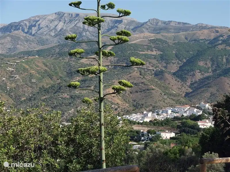 Village voisin Canillas de Albeida avec la plus haute montagne, la Maroma, en arrière-plan.