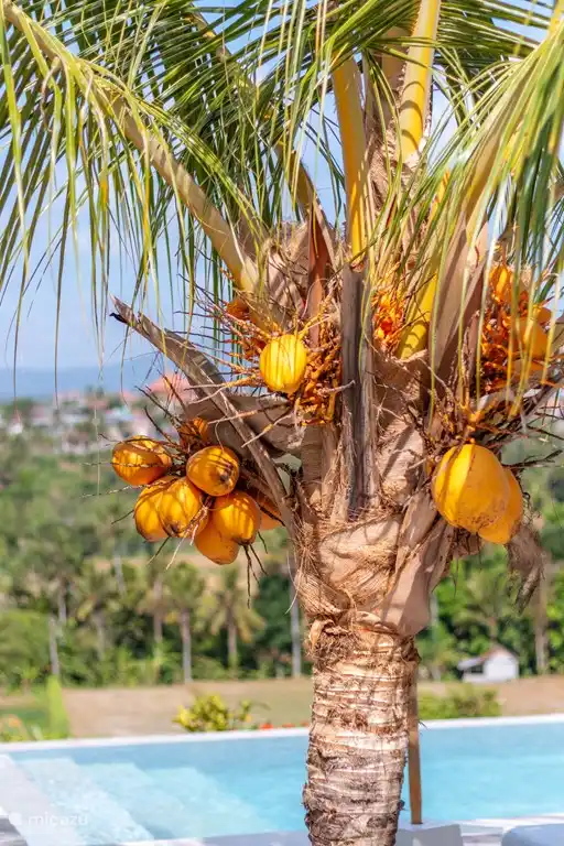 Villa Pasir Putih in Tumbu, Bali huren? | Micazu