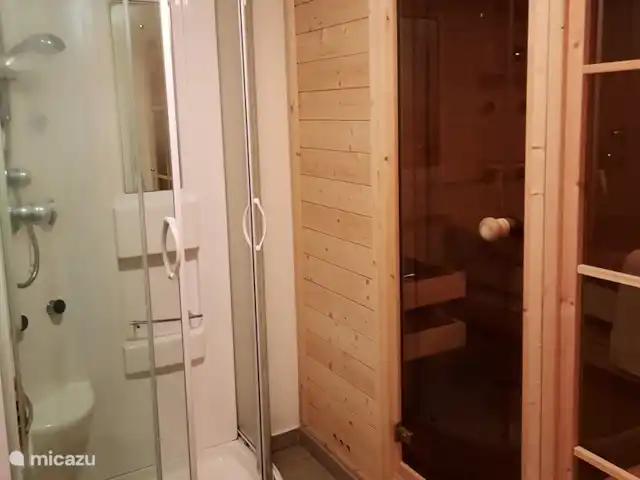 Location de Vacances Suisse, Valais, Eggen, chalet - Baltschieder Blick sauna avec douche