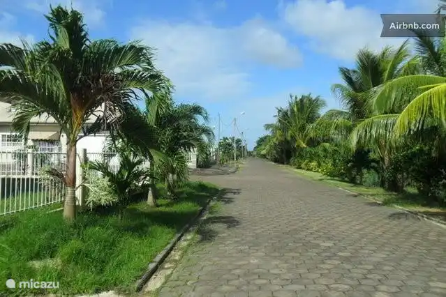 Street Panorama