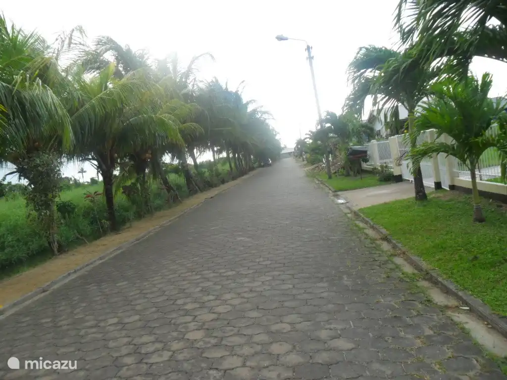 Our street with little traffic