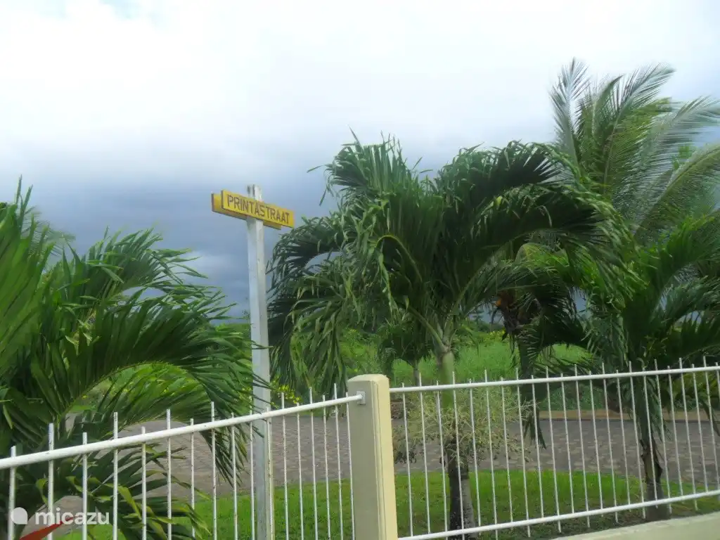 At the corner of the Printastraat in a quiet middle class neighborhood. With said street to the various palm species in Suriname at the end of the Kasabaholloweg in Paramaribo