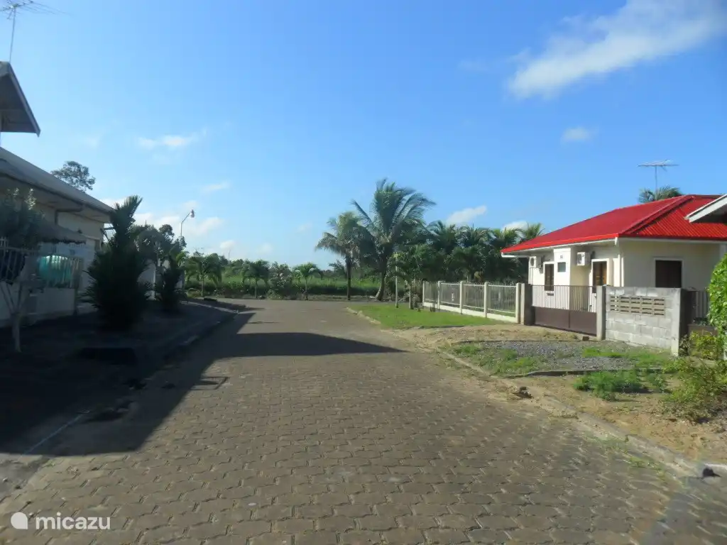 From the Printastraat