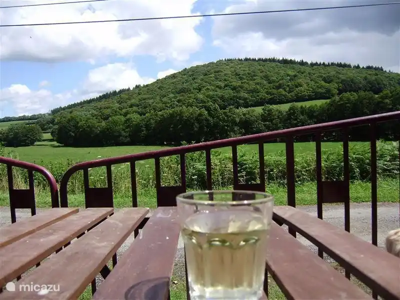 Lekker borrelen in de namiddag met een glaasje Aligoté!