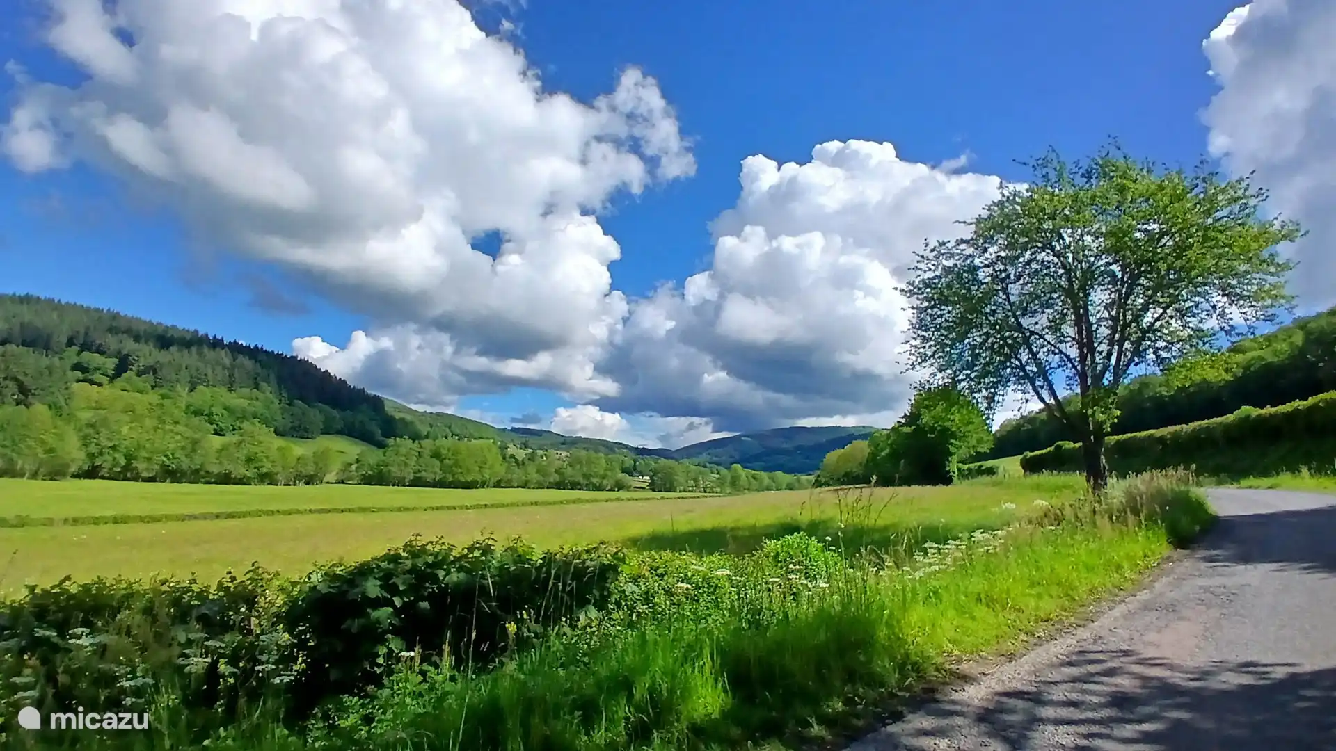 Gite Le Verne ligt in de vallei van de la Roche.
