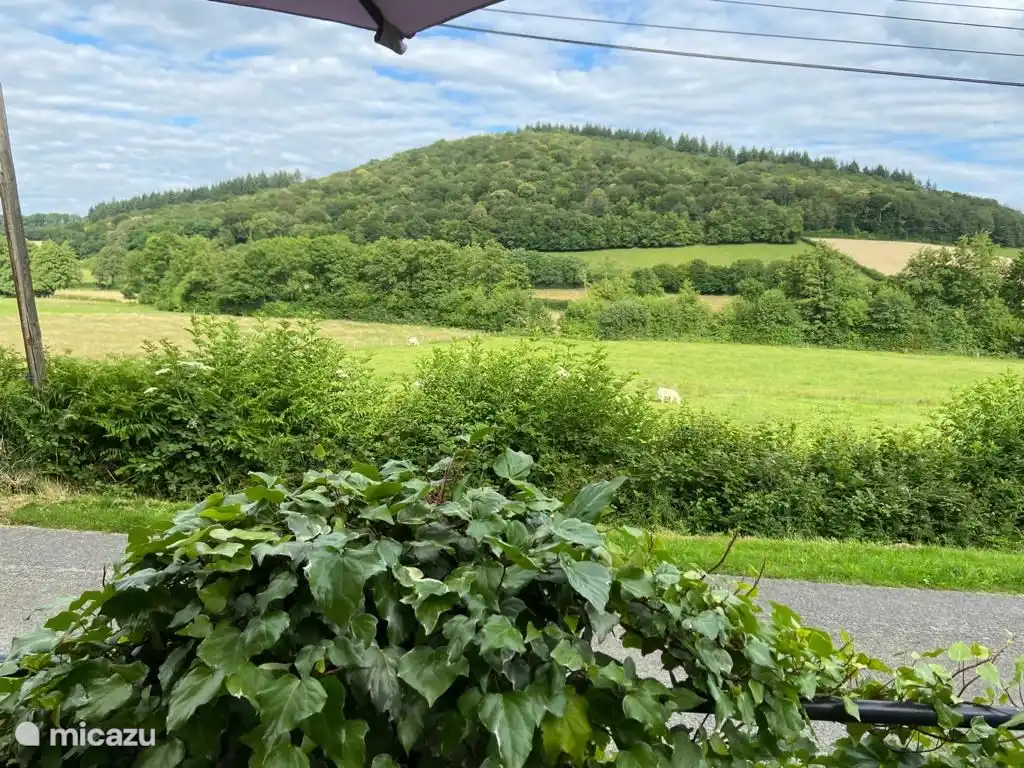 Het uitzicht vanuit het huis.