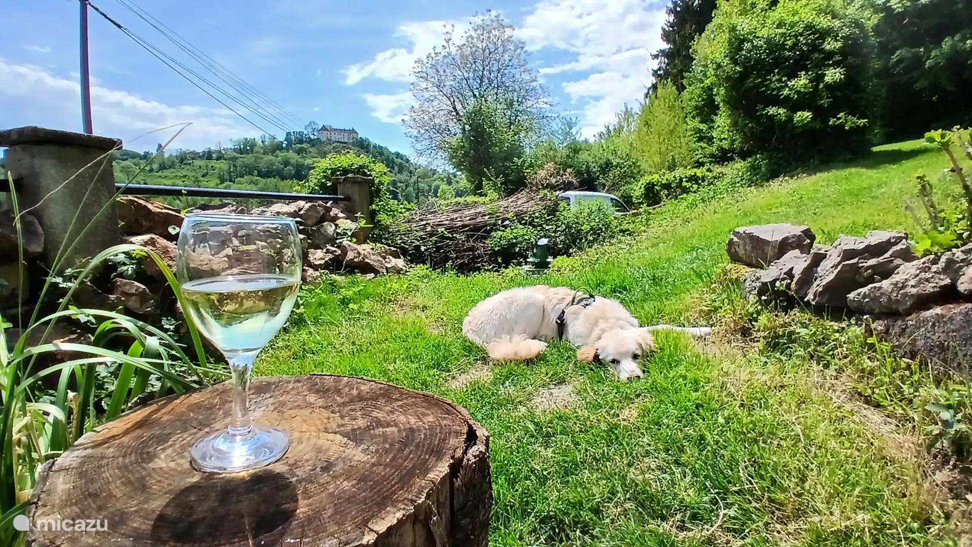 Blik in de omliggende tui.