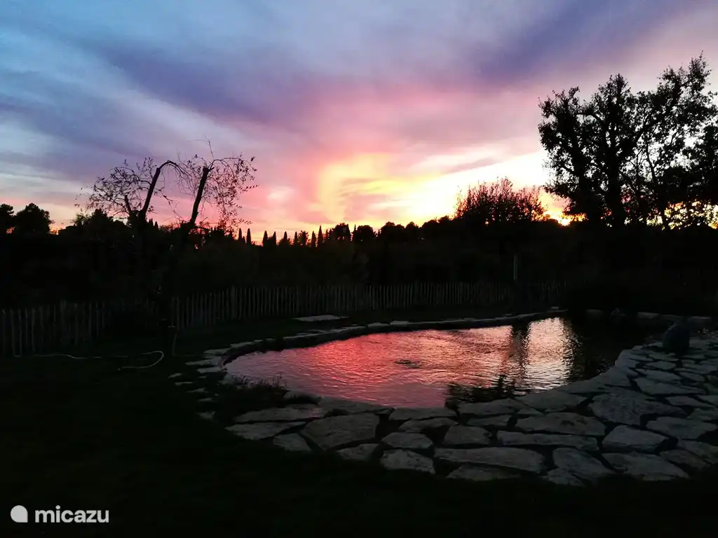 Schwimmteich mit Abendhimmel, Ende Oktober 2017