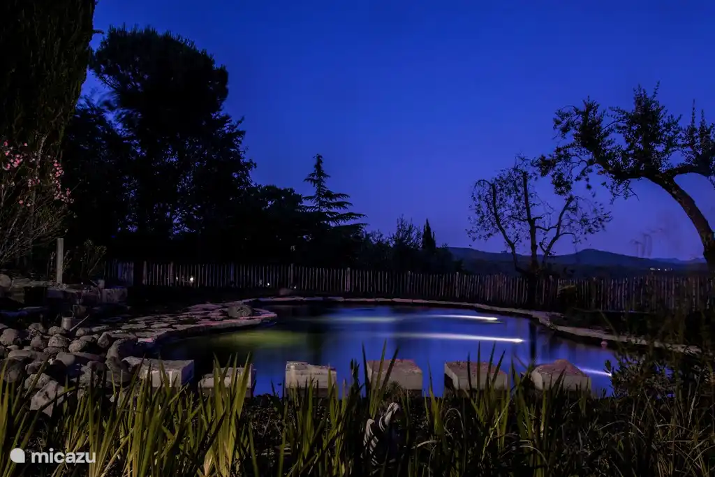 Schwimmteich bei Nacht, Juni 2017