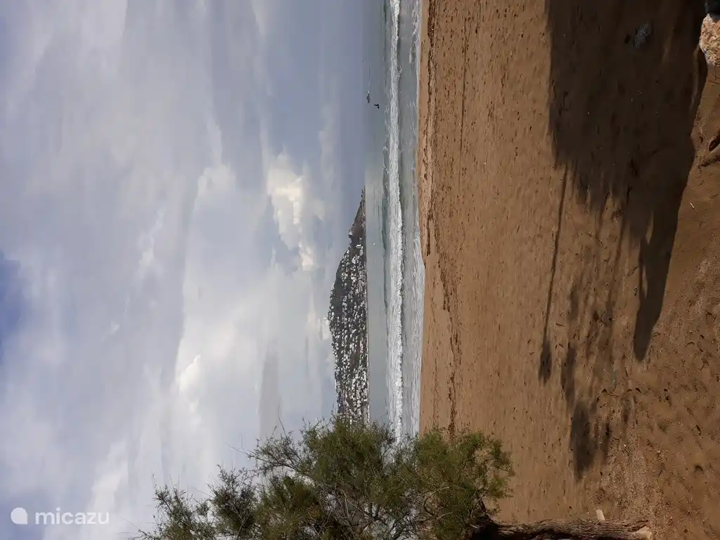 Schöner Sandstrand, wo es immer etwas zu sehen und zu tun gibt.