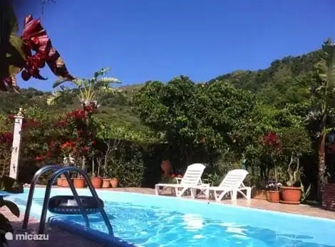 Der Swimming-Pool mit Außendusche, Liegestühle und Sitzgelegenheiten unter Bäumen