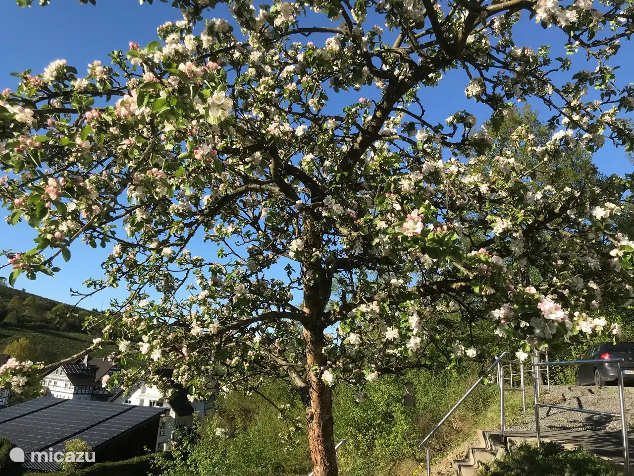 Een en al natuur in de prachtig aangelegde terrassen.