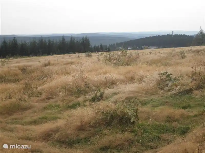 Auf der Oberseite des Kahlen Asten in Winterberg auf dem höchsten Punkt der Sauerland schöne Ausblicke.