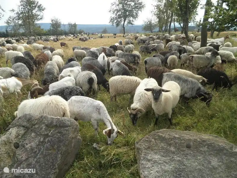 Auf der Oberseite des Kahlen Asten in Winterberg auf dem höchsten Punkt der Sauerland schöne Ausblicke.