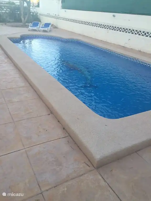La piscina con escalones romanos y luces para nadar por la tarde.