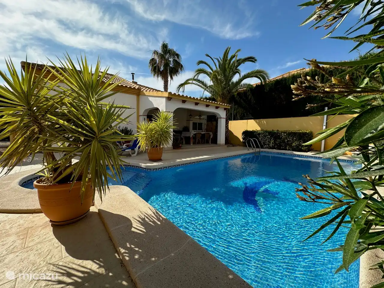 Mediterrane Pflanzen, Privatsphäre, warmer Garten im Winter mit vielen sonnigen Plätzen. Überwintern kostet weniger als zu Hause zu bleiben.