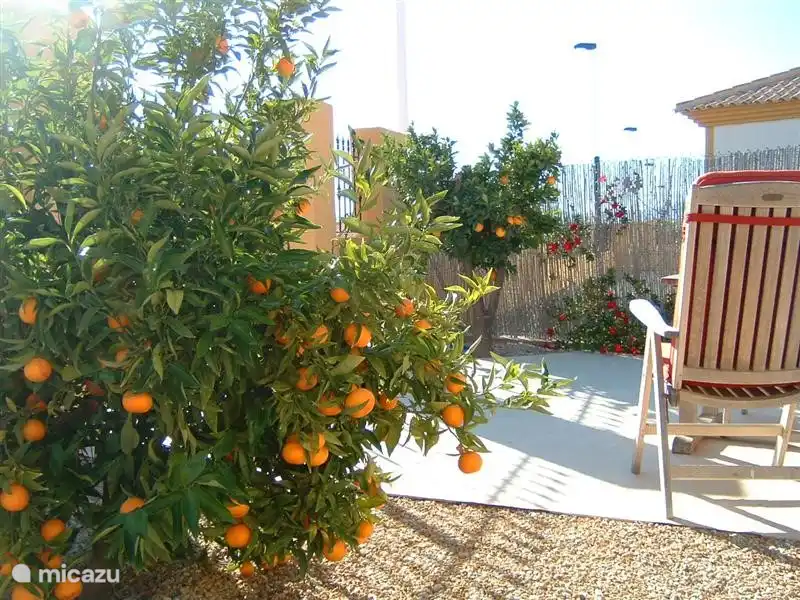 Wählen Sie Ihre frischem Gemüse aus dem Garten des Casa Miantojo.