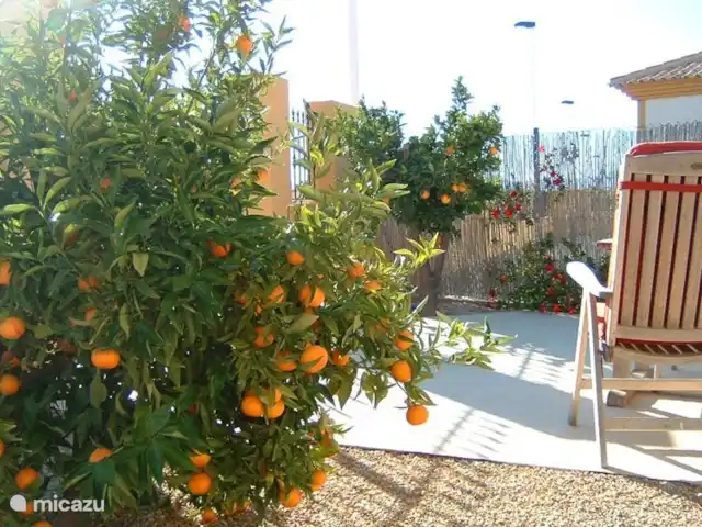 Casa Miantojo - Paix et Espace | Espagne, Costa Cálida, Mazarrón - villa Choisissez vos fruits frais dans le jardin de la Casa Miantojo.