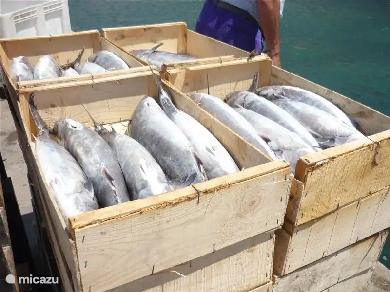 Zahlreiche Märkte, Geschäfte, Restaurants und alle anderen Annehmlichkeiten in den Dörfern in der Nähe von Casa Miantojo. Ab Frühjahr 2023 ist der „SPAR“ nur wenige Gehminuten von Ihrem Zuhause entfernt.