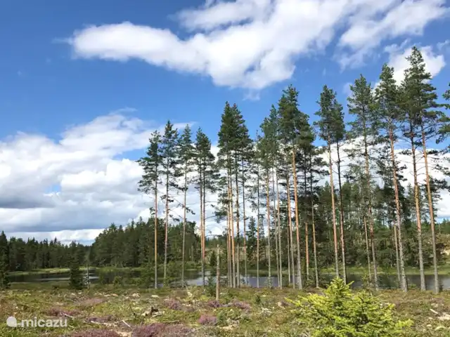Alvsjo Herrgarden | Suède, Värmland, Filipstad - ferme Le long de la rivière