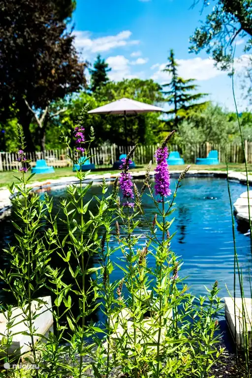 Da Nonna in Italien, Umbrien, Ficulle - Gîte / Hütte