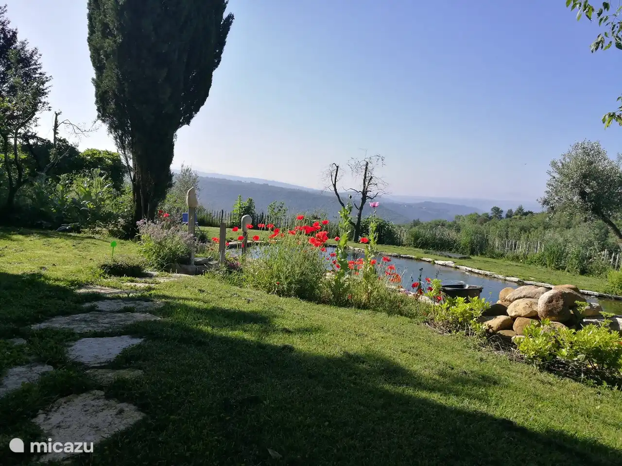 Schwimmteich mit Mohnblumen