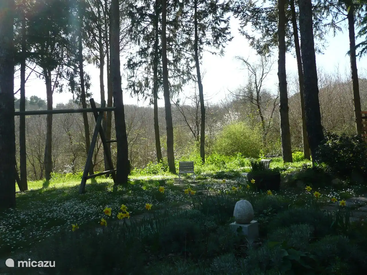 Frühlingsblick von der Nonna auf den angrenzenden Wald