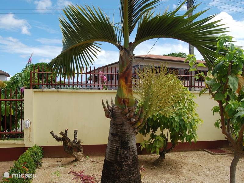 Maison de Vacances Suriname, Paramaribo, Paramaribo Villa Résidence Hémaro