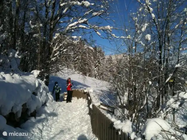 Haus-Myrte | Autriche, Salzburgerland, Flachau - appartement Le chemin de la piste de ski. L'appartement est situé à environ 50 mètres des pistes.
