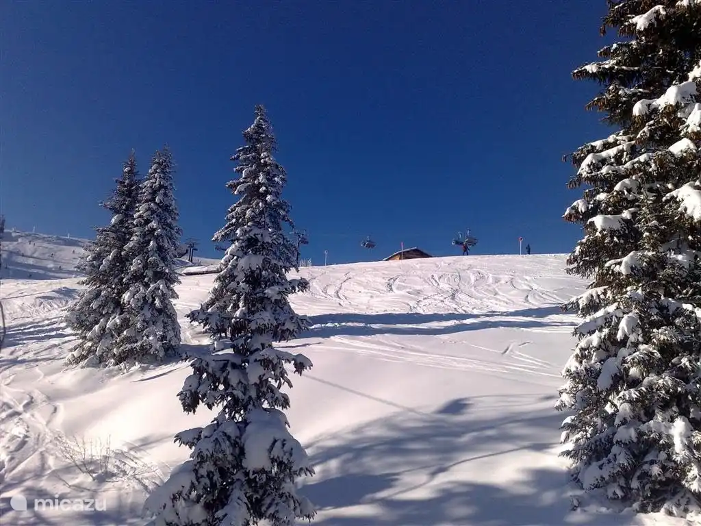 Off-Piste-Möglichkeiten in Flachau.