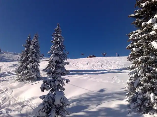 Haus-Myrte | Autriche, Salzburgerland, Flachau - appartement Possibilités de hors-piste à Flachau.