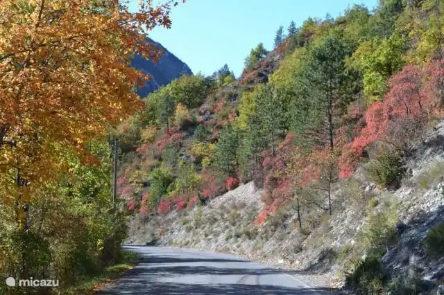 Environnement en automne