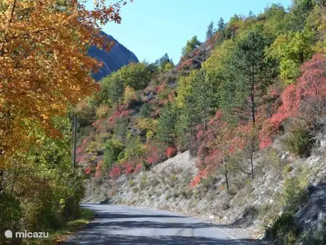 appartement huren in Frankrijk, Alpes-de-Haute-Provence, Allos – Les Bouleaux 2 Omgeving in de herfst