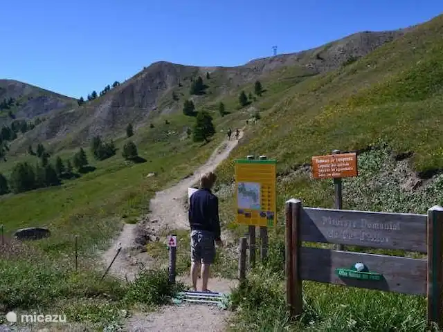 Location de Vacances France, Alpes-de-Haute-Provence, Allos, appartement - Les Bouleaux 3 Marche du Col d'Allos à notre maison