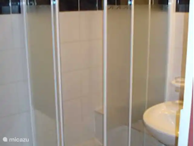 Location de Vacances France, Alpes-de-Haute-Provence, Allos, appartement - Les Bouleaux 3 Salle de douche pratique