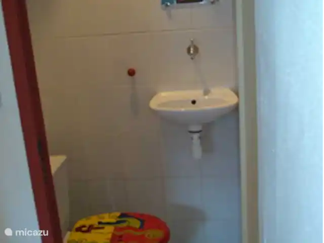 Location de Vacances France, Alpes-de-Haute-Provence, Allos, appartement - Les Bouleaux 3 Toilettes