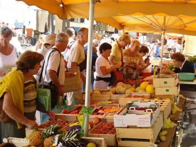 Location de Vacances France, Alpes-de-Haute-Provence, Allos, appartement - Les Bouleaux 3 Marché Colmars les Alpes à 10KM